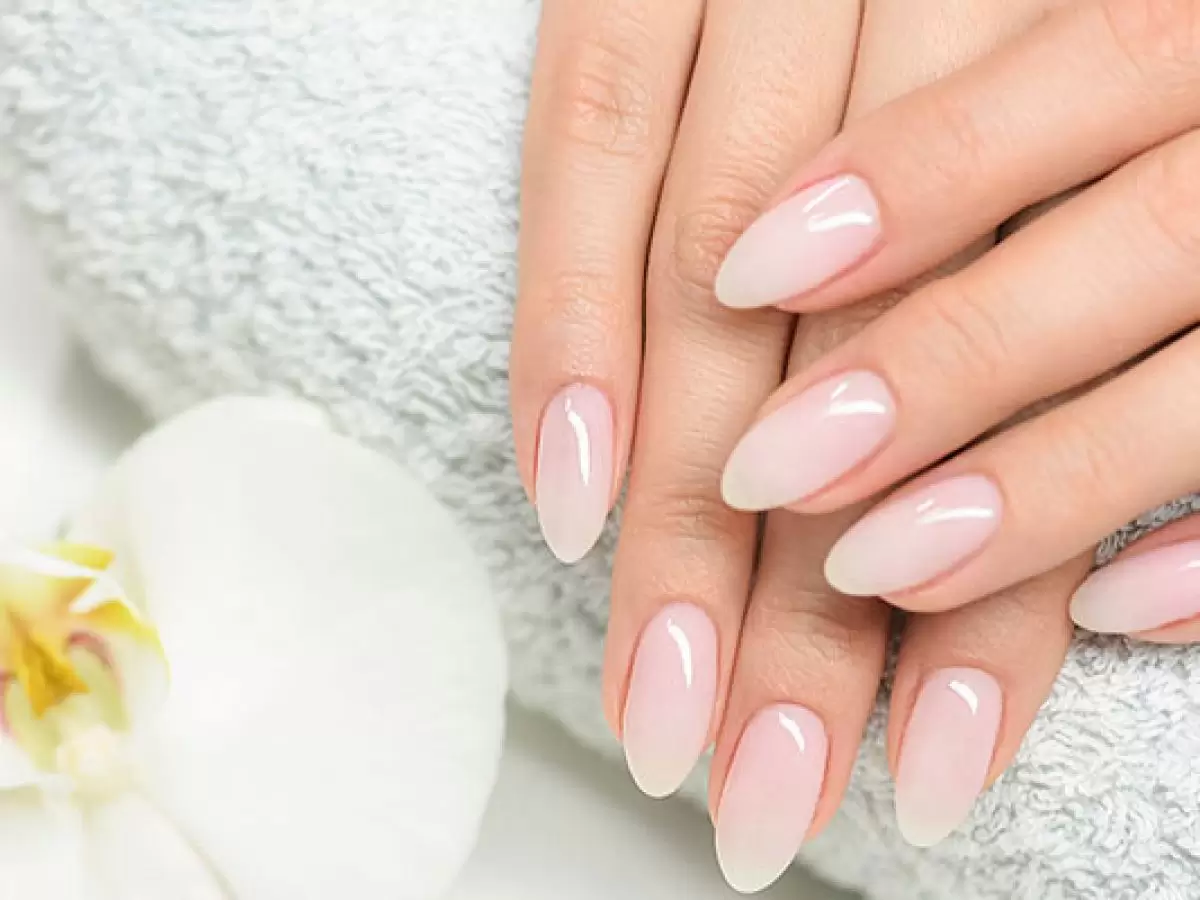 Bozkurt Protez Tırnak